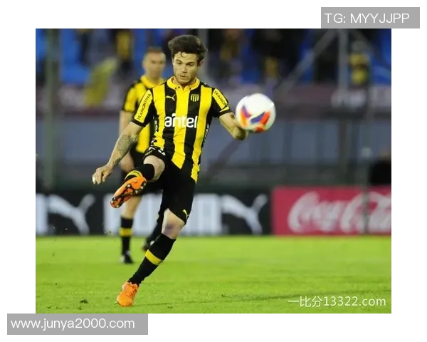 努涅斯在赛场上的崛起与挑战：一位新星的奋斗历程与未来展望