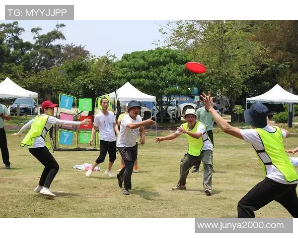 飞盘战术解析：深入探讨北京飞盘队的区域防守策略与实践MBA